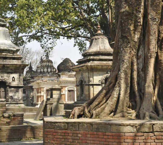 Pashupatinath Temple in Kathmandu