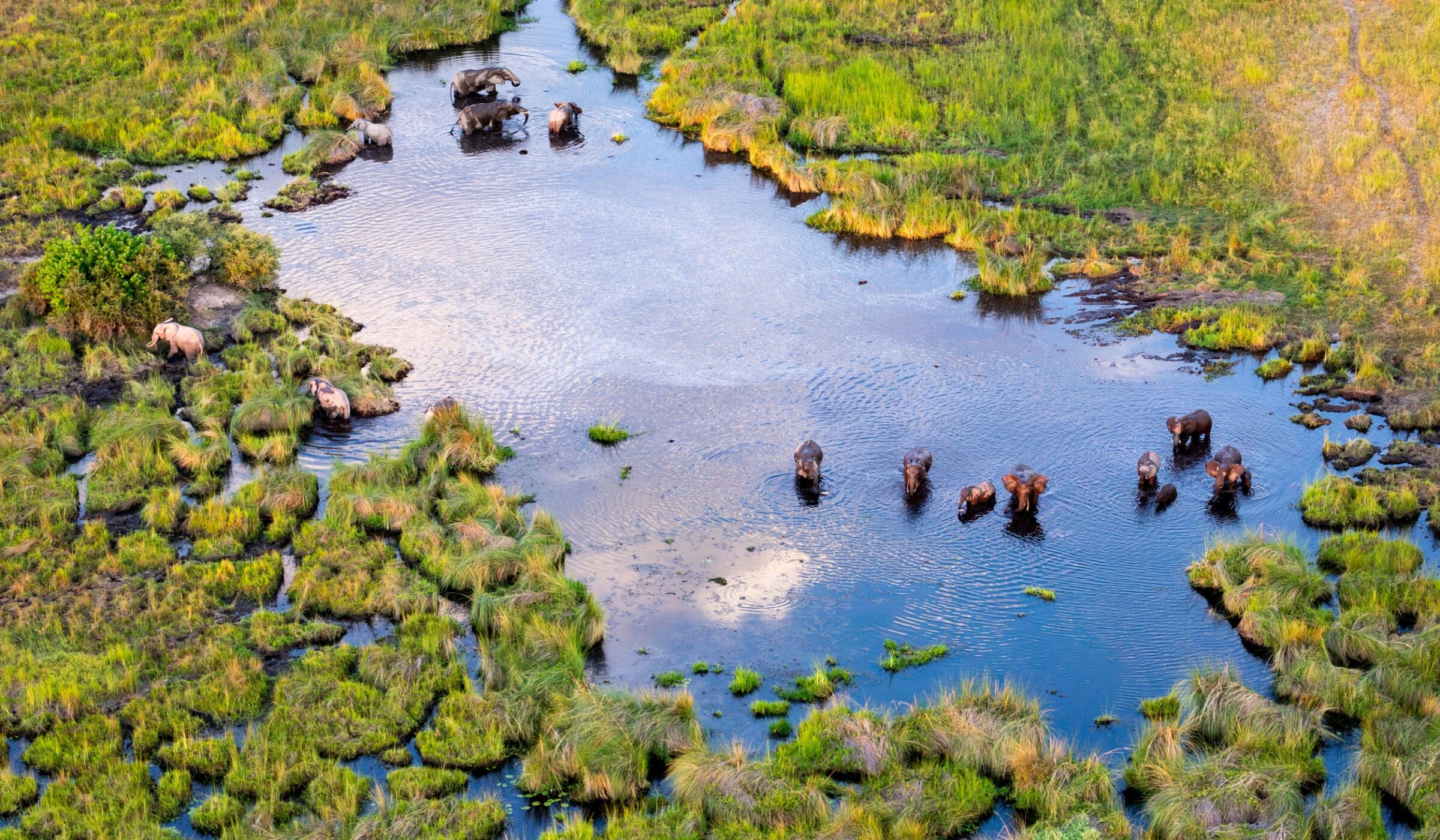 Safari by land and water in the Okavango Delta