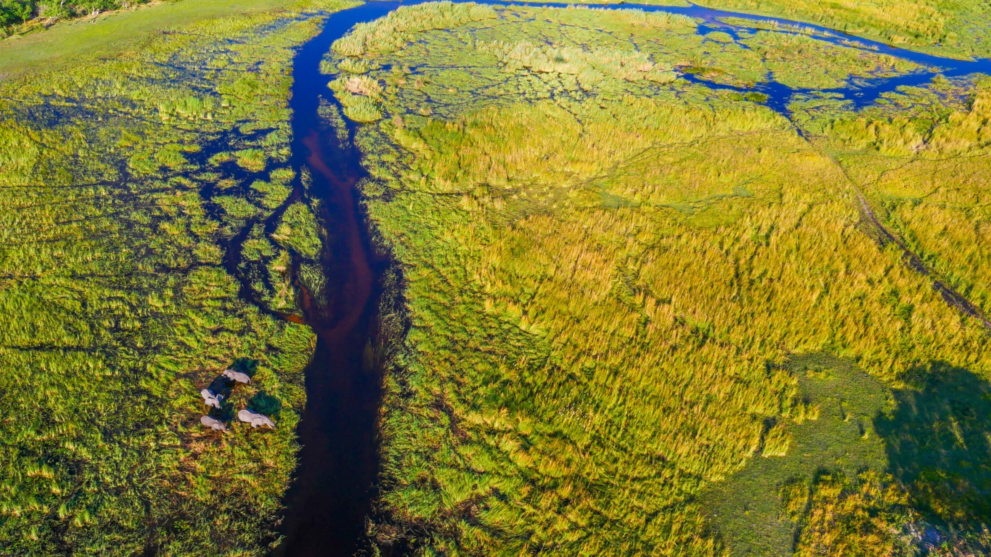 Aerial view of the Okavango Delta