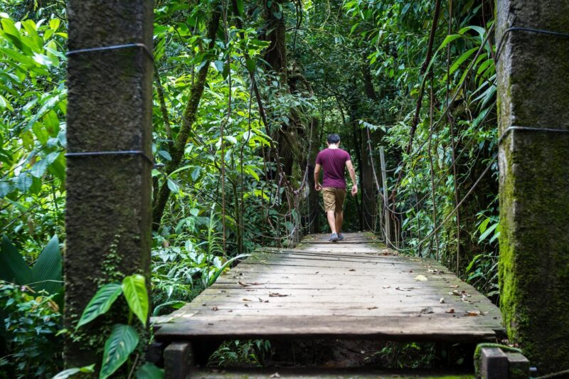 A canopy walk among the trees in Costa Rica