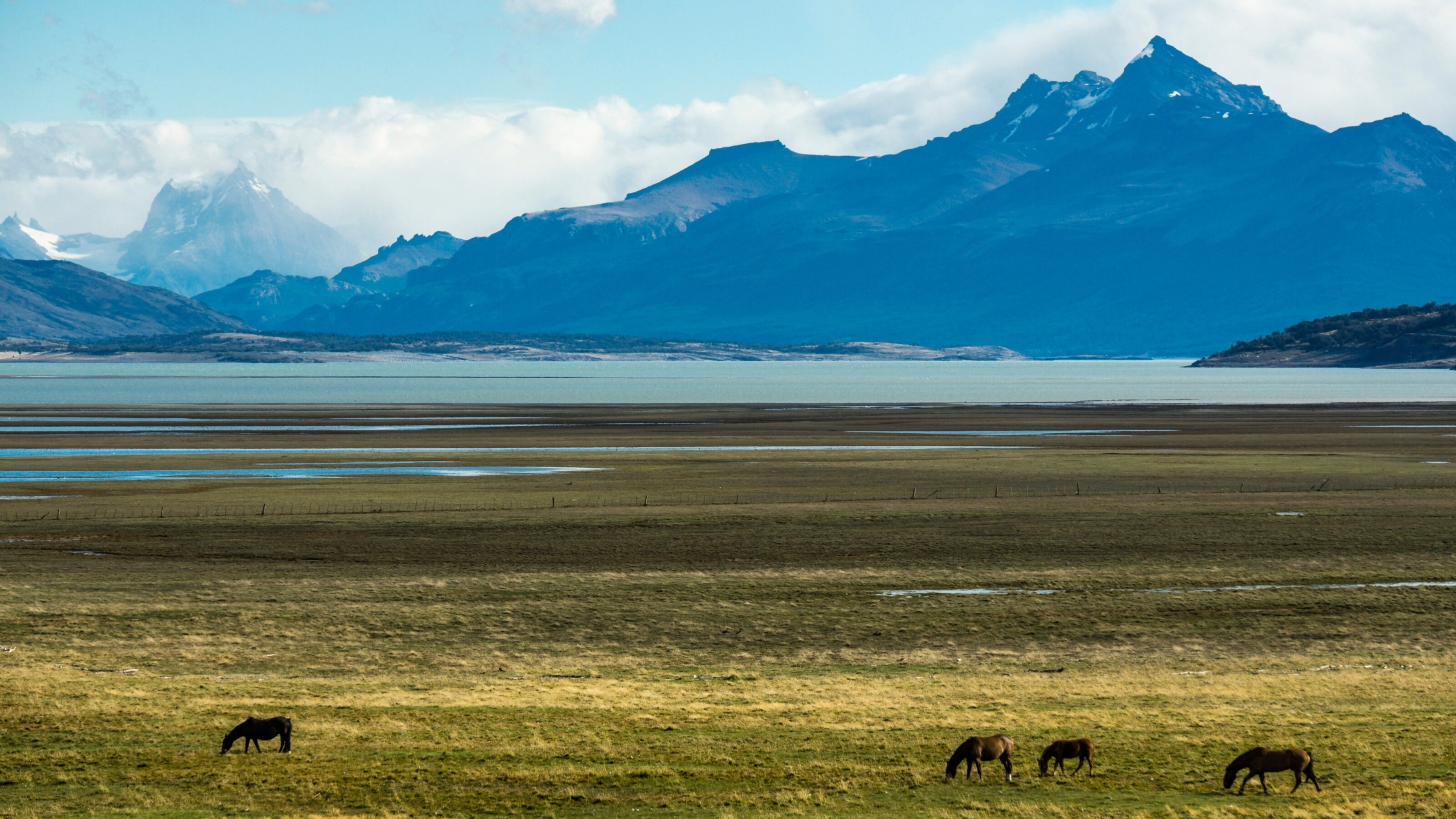 Crossing the Polar Circle