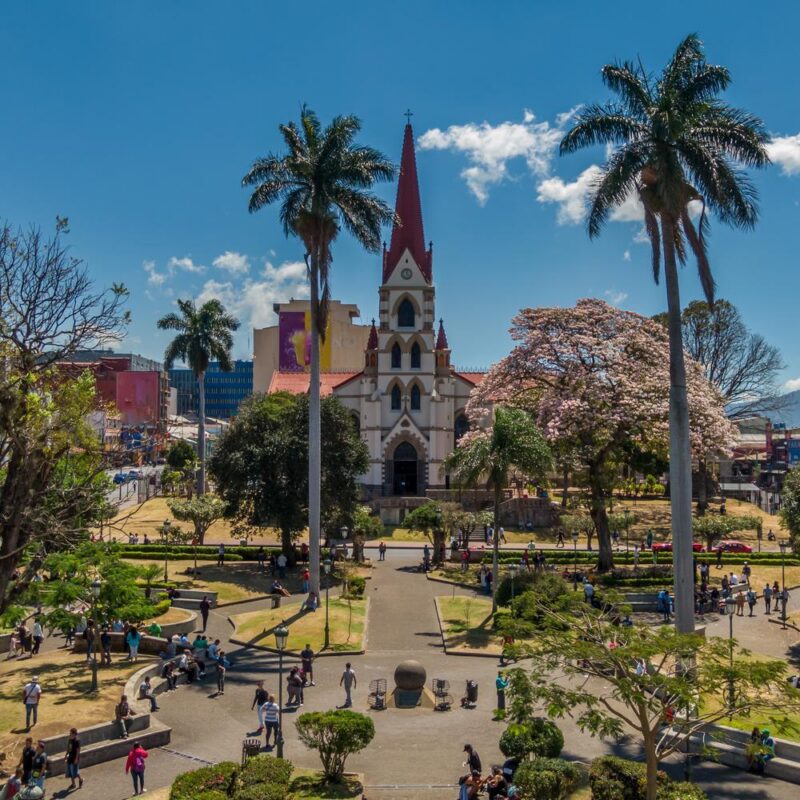Cathedral with palm trees in San Jose