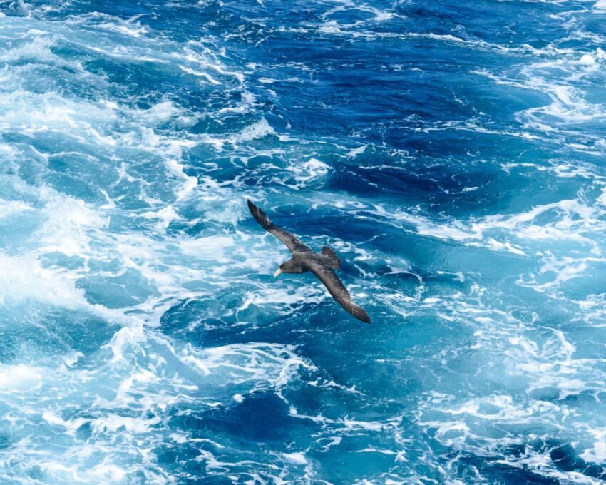 Cross the Drake Passage
