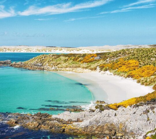 Uncover the turquoise bays of the Falkland Islands