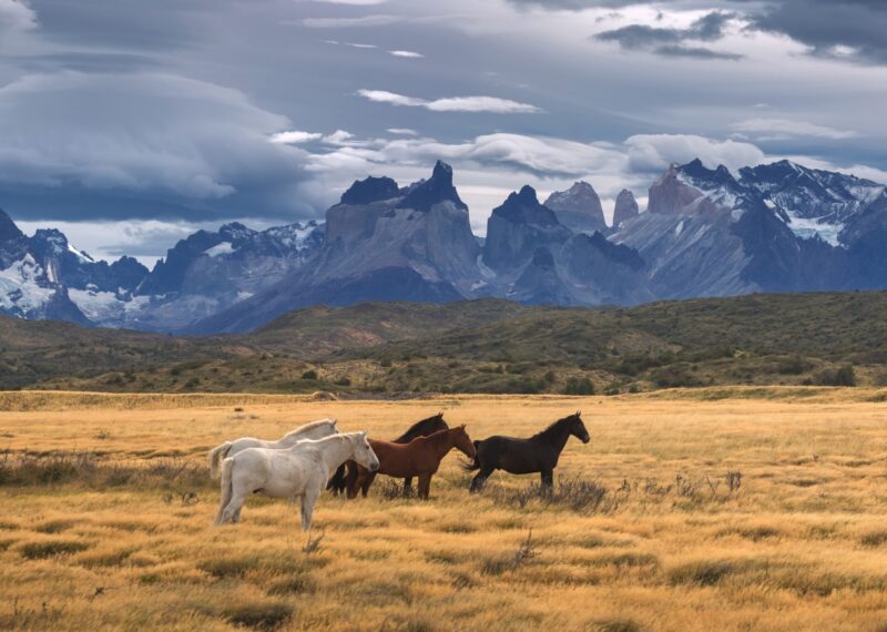 Torres del Paine National Park, Patagonia, Chile