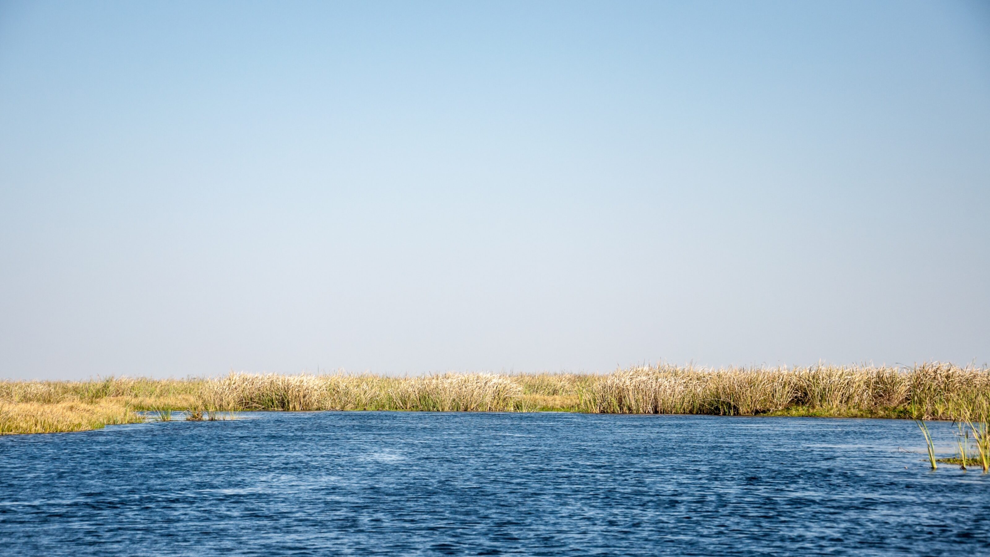 Wildlife Tour Of Argentina