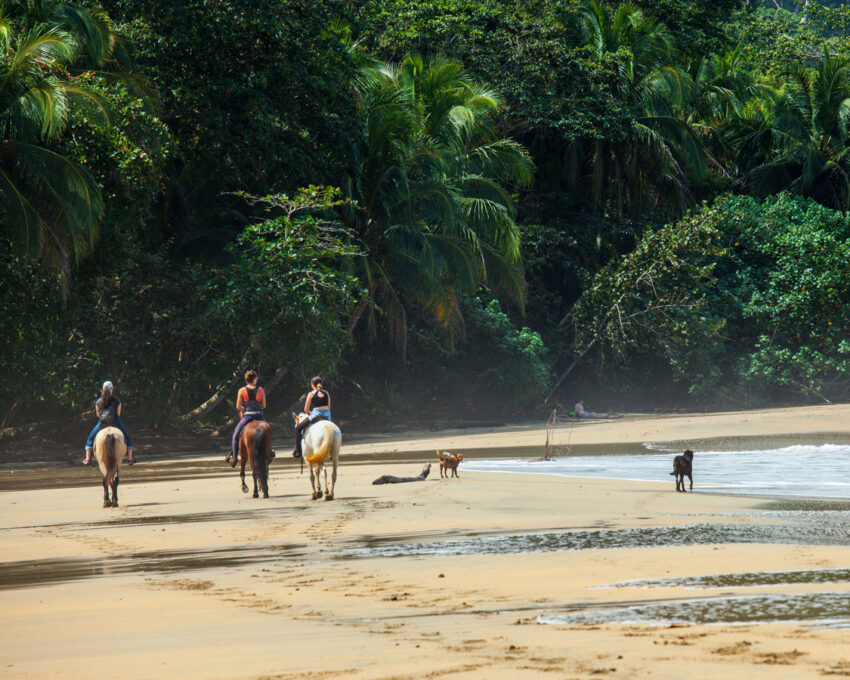 Horseback riding Sabanero style