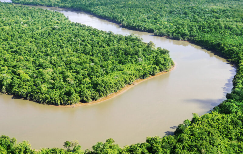 One of the rivers in the Amazon crossing the forest