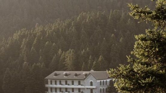 Exterior view of MANNA hotel surrounded by pine forest