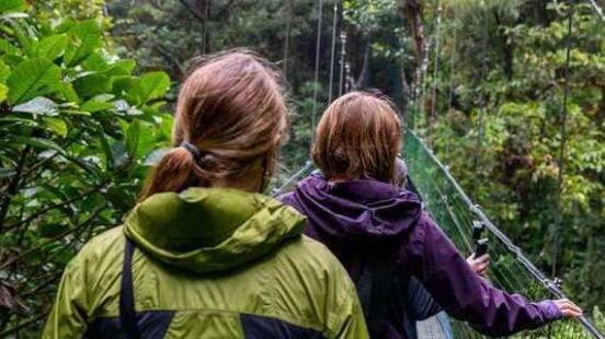 Rear view of two people walking on a narrow suspension bridge through a lush green jungle.