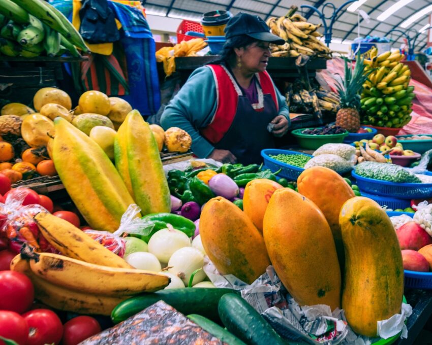 Quito bites and delights