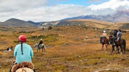 Several people riding horses across a golden field with a large, snow-covered mountain in the distance.