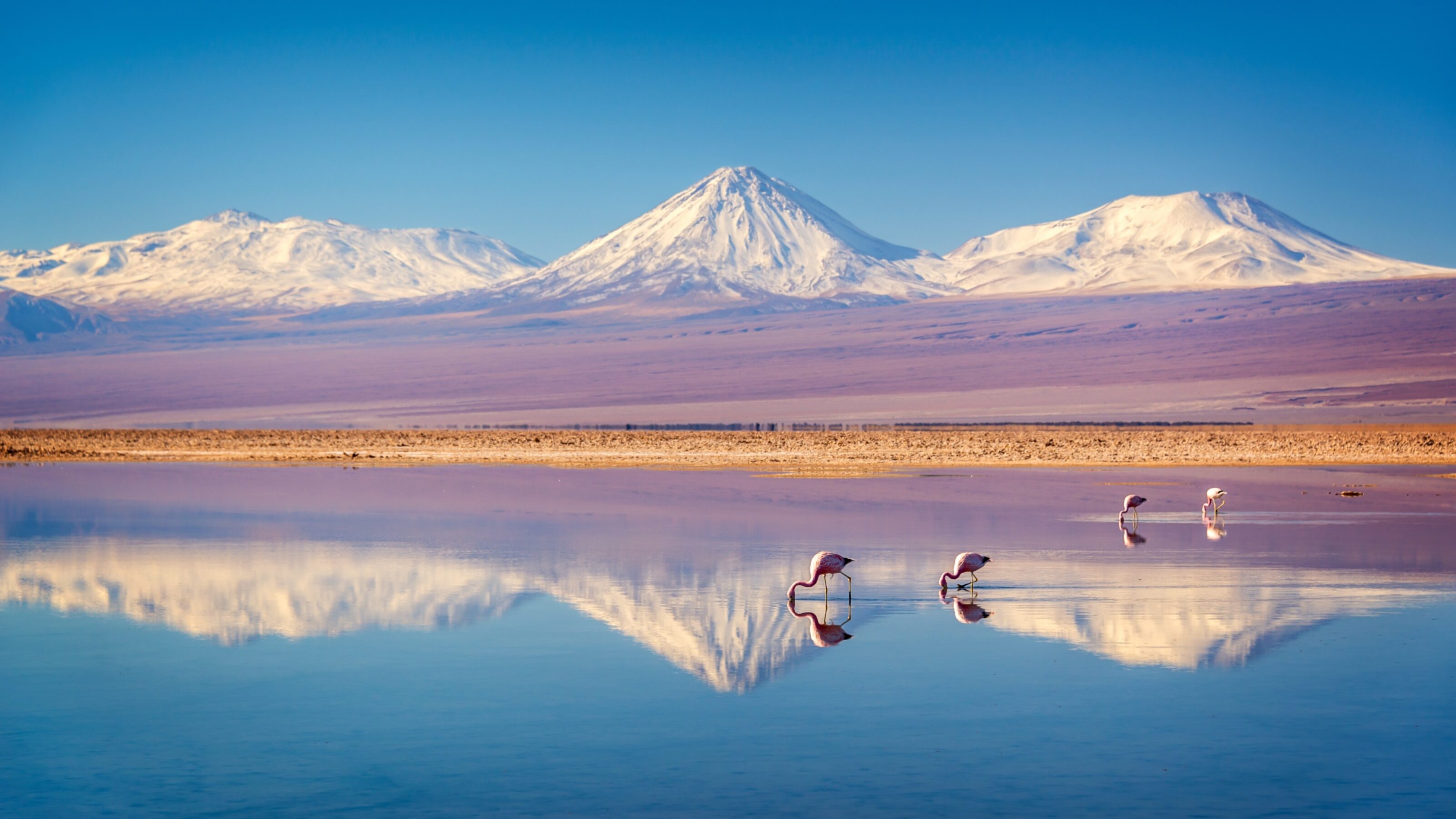 Northern Chile Explorer