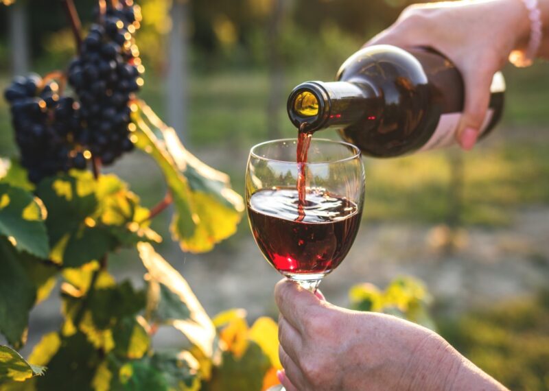 Pouring a glass of red wine at a vineyard