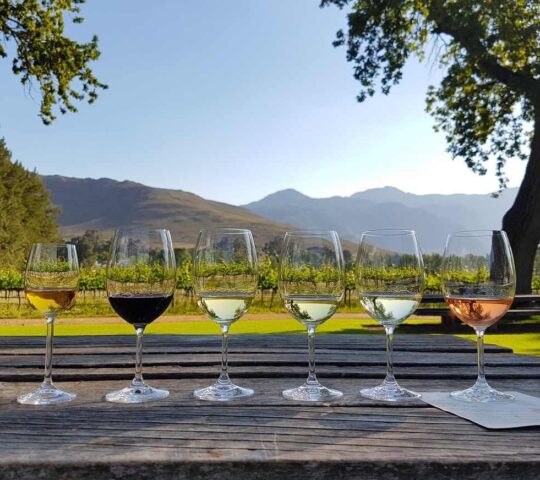 Go wine tasting in South Africa's Winelands