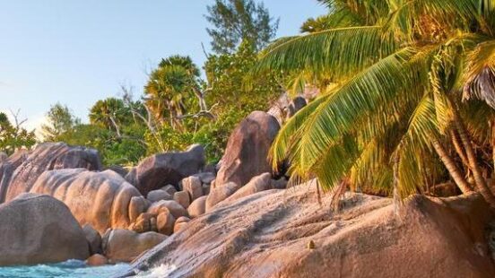 Tropical beach scene featuring large smooth rocks, palm trees, and turquoise water under a clear sky.