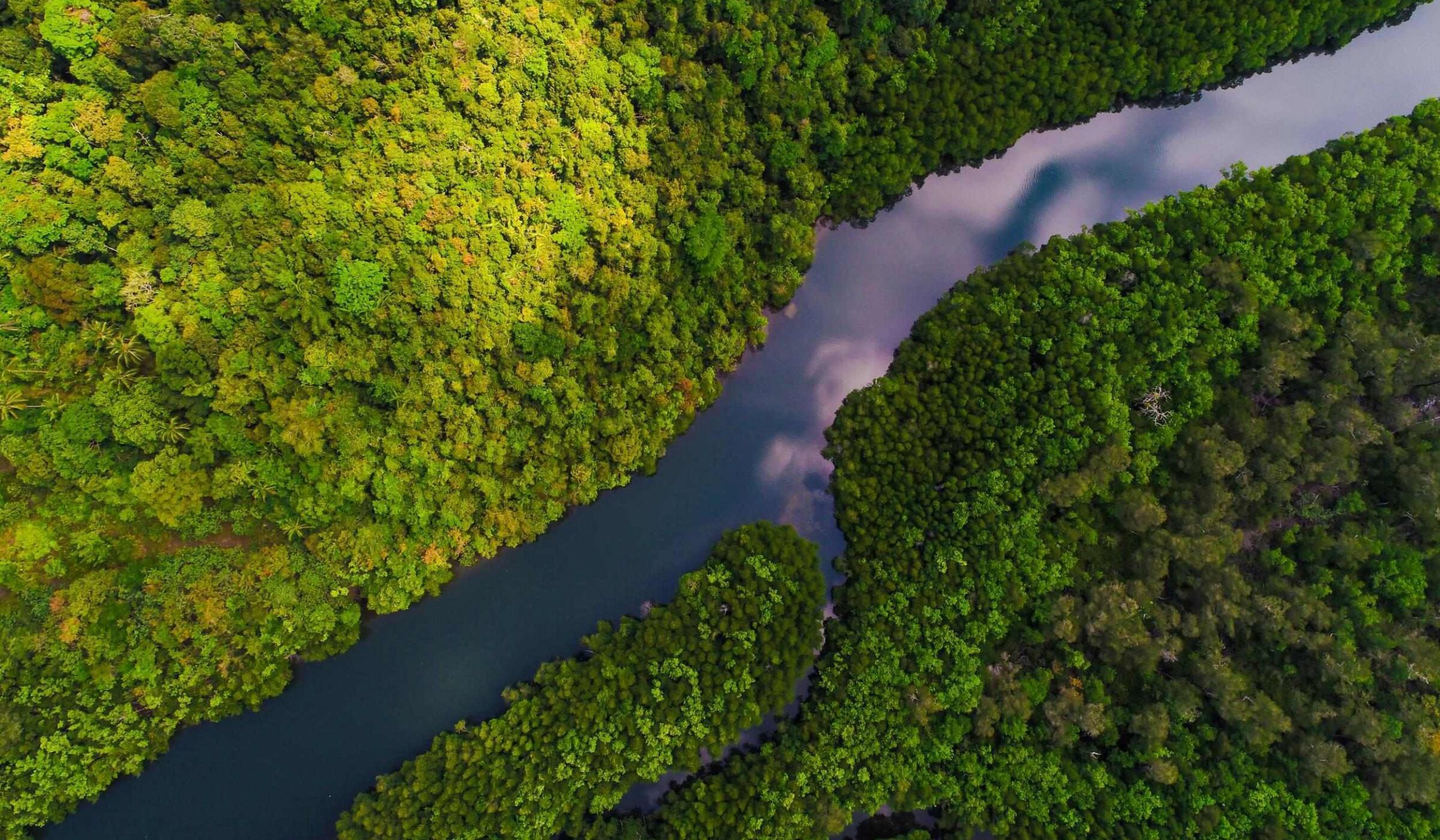 Wilderess adventure in the Amazon
