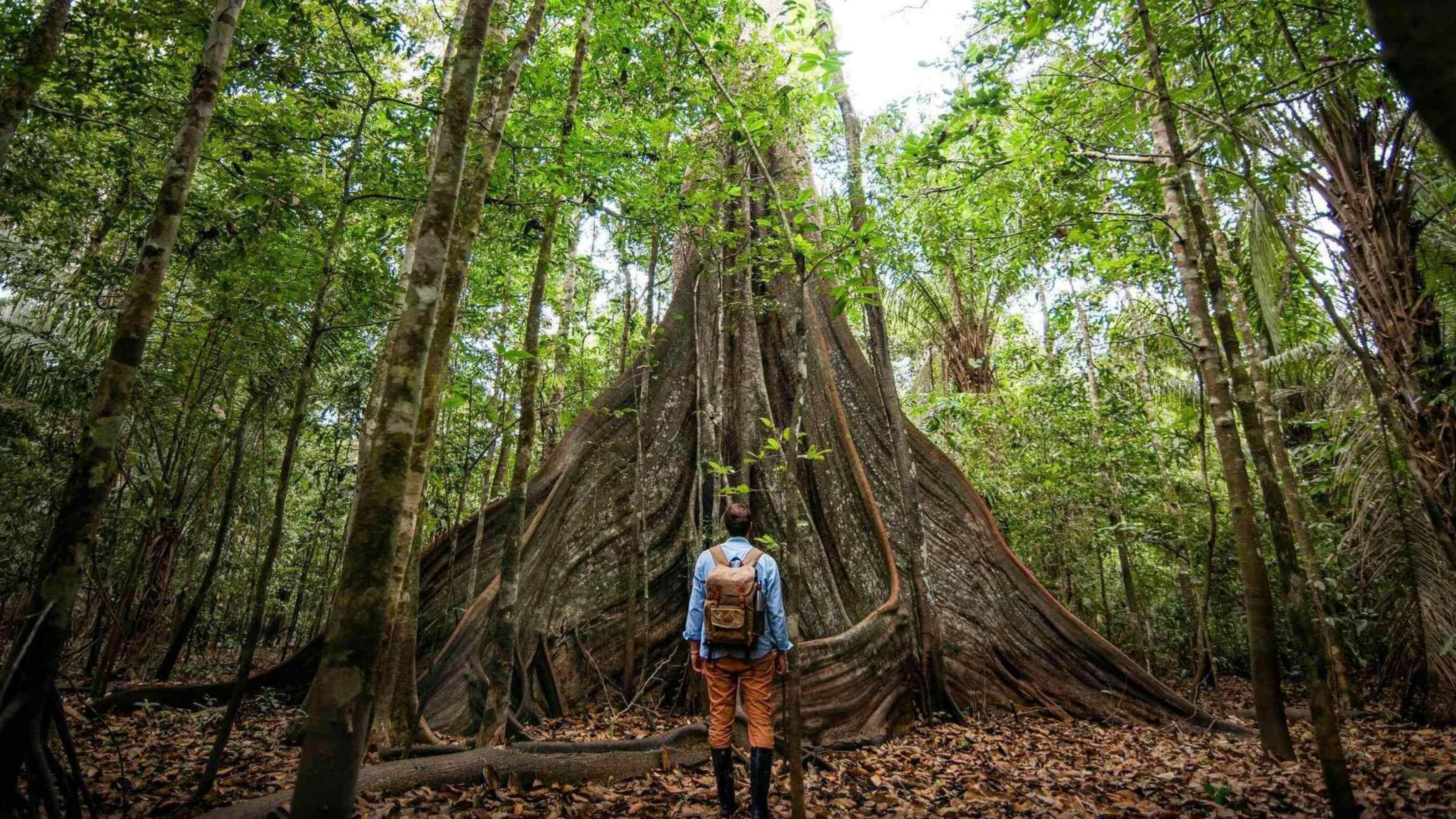Brazil Family Adventure