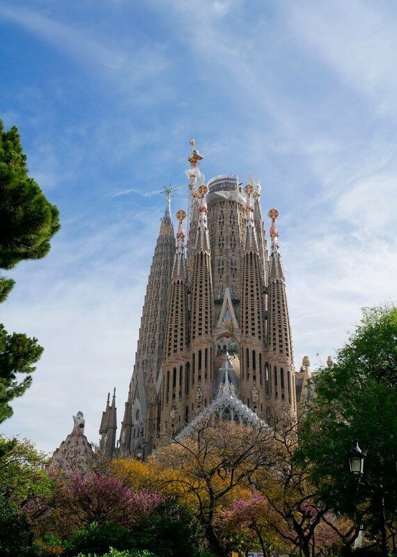 Gaudí's organic spires of the Sagrada Família rising above Barcelona's tree canopy.