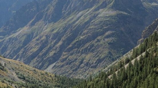 Beautiful greenery at the Écrins National Park, France
