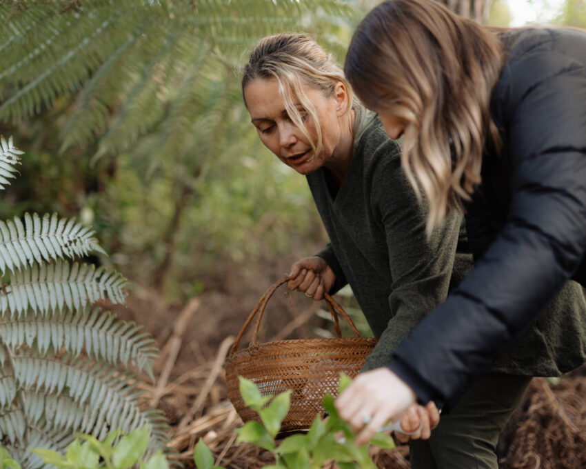 Nourishing Nature experience at Hotel Britomart