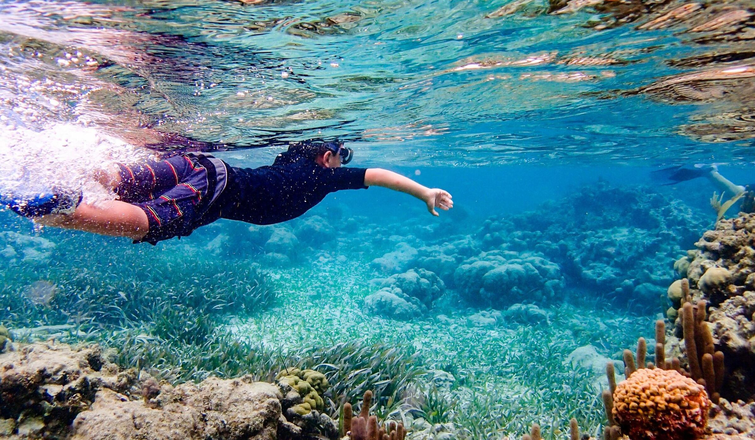 A person in a dark swim shirt and goggles snorkels through clear shallow water above a coral reef and seagrass.