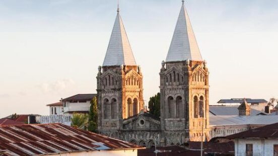 stonetown zanzibar roof-top view over city
