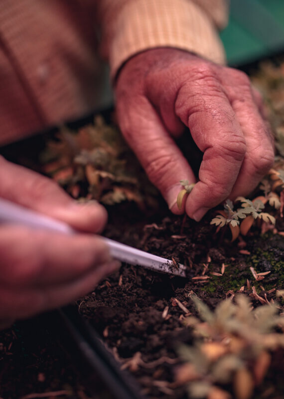 Visit a family-run reforestation project