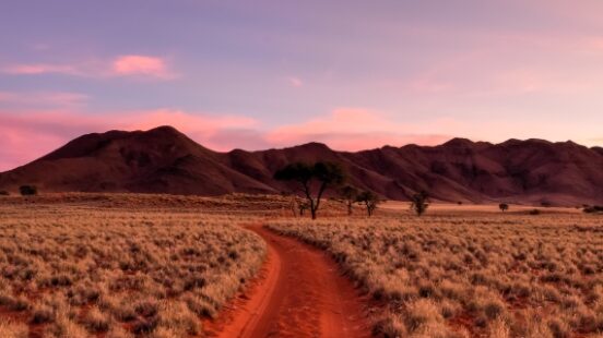 Desert landscape in the NamibRand Nature Reserve in Namibia.
