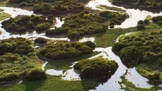 Panoramic aerial view at sunset of typical Pantanal Wetlands landscape with lagoons, forests, meadows, river, fields, Mato Grosso, Brazil America, Amerika, Brasilien, Brasilien 2018, Brazil, Drohnenaufnahmen, Mato Grosso, Pantanal, Porto Jofre, Pouso Alegre, South America, Südamerika, Transpantaneira