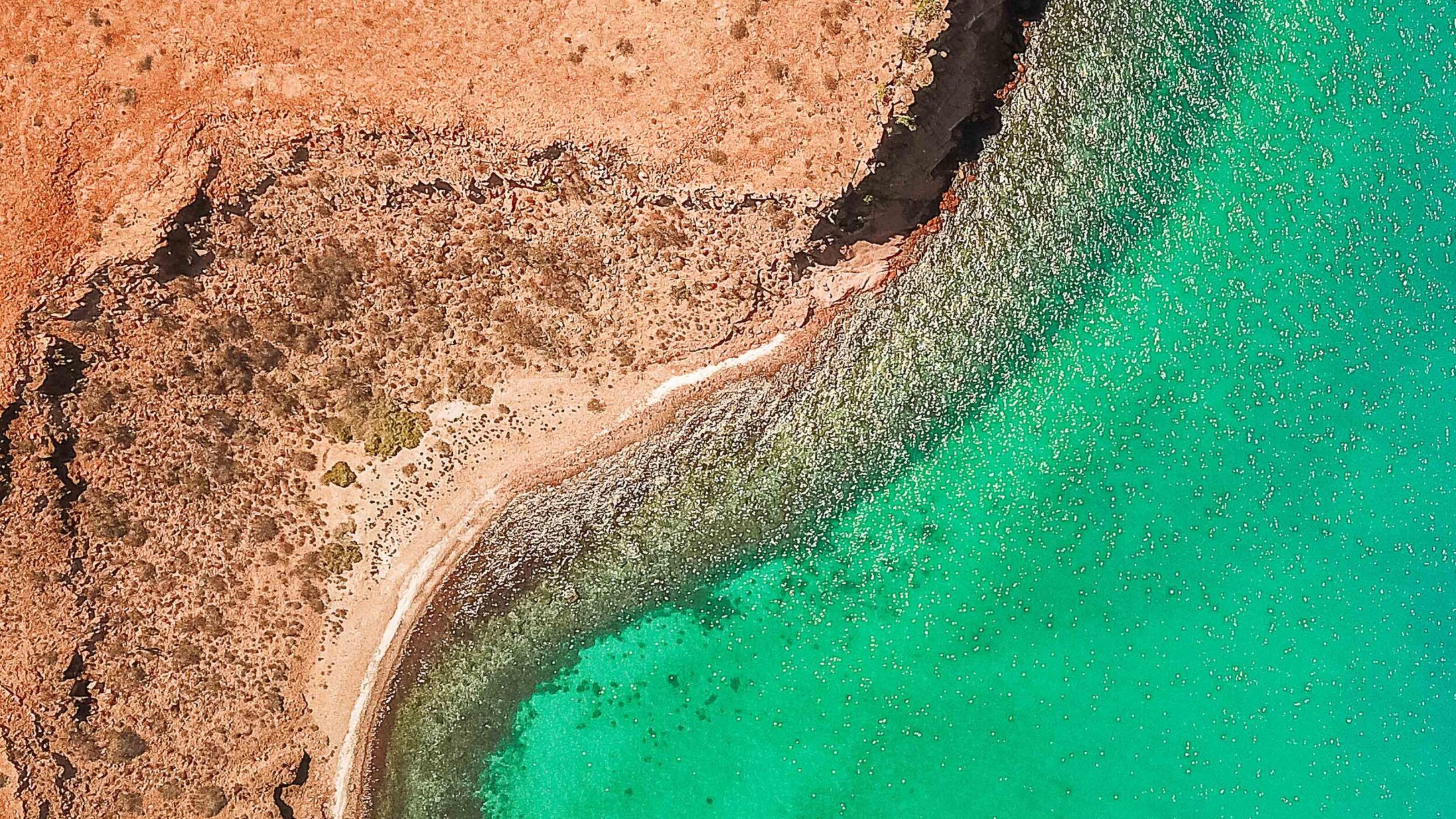 Wine, Whales and Wonders of Mexico