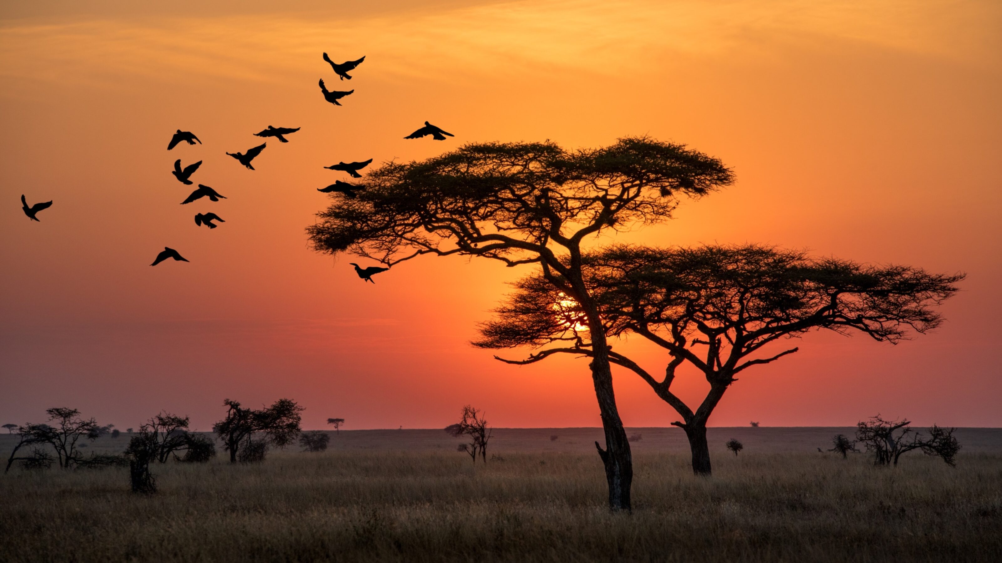 An Incredible Private Safari in Kenya and Tanzania
