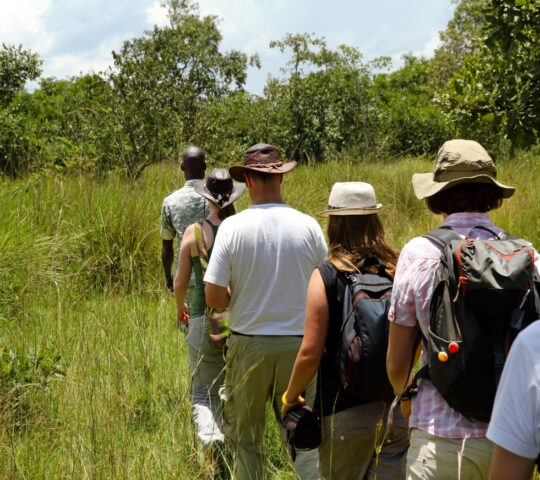 Discover the Laikipia Plateau on foot