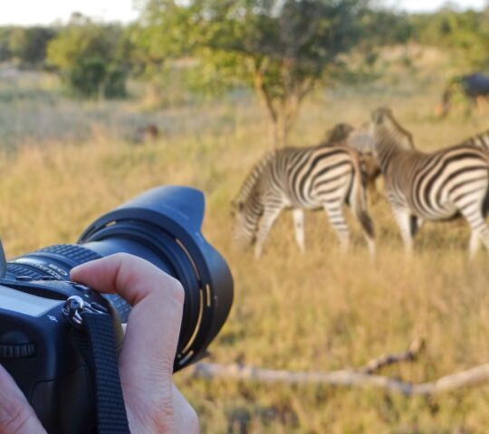 Photograph magical wildlife moments