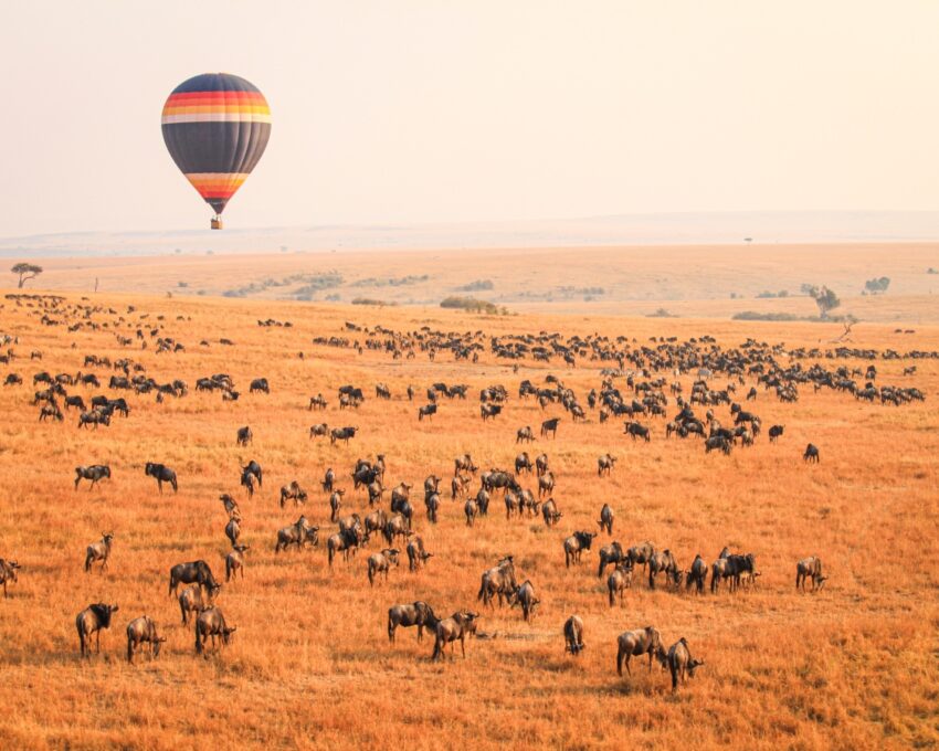 Hot air ballooning over the Maasai Mara