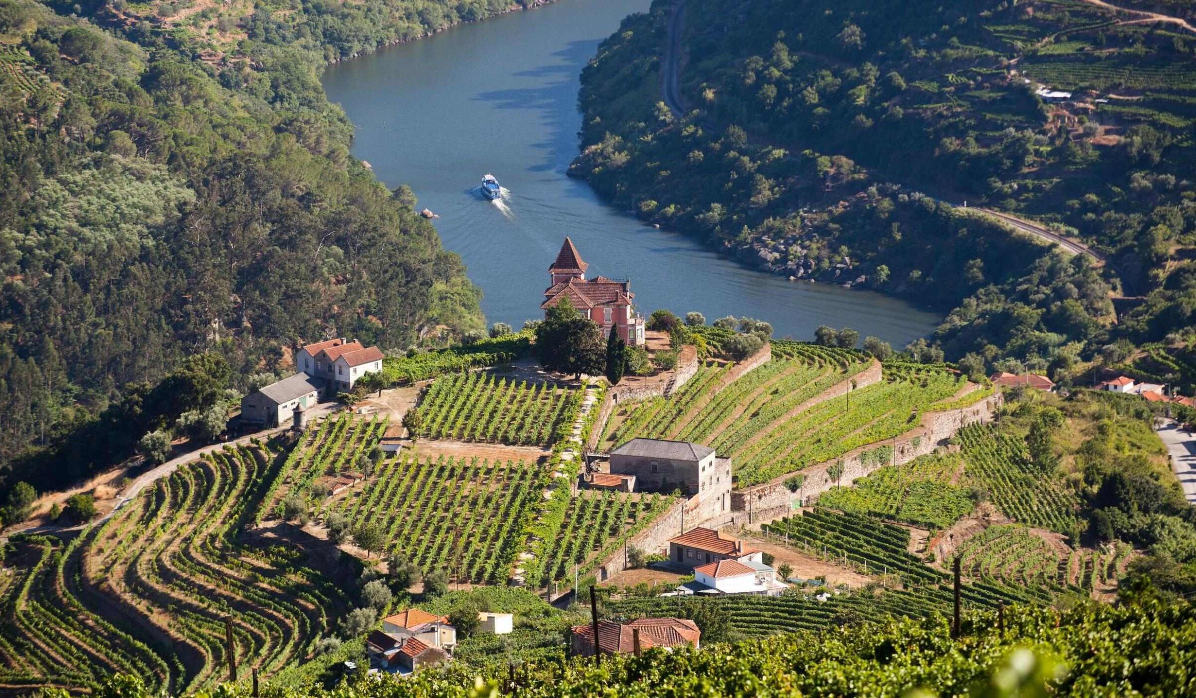 Aerial view of the Douro Valley in Portugal