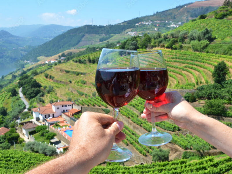 Tasting red wine in the Douro Valley