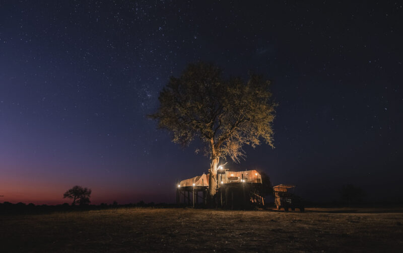 Star Bed Scott’s Pan, Nature, Night, Outdoors, Shelter, Tree sleep out Wilderness assets