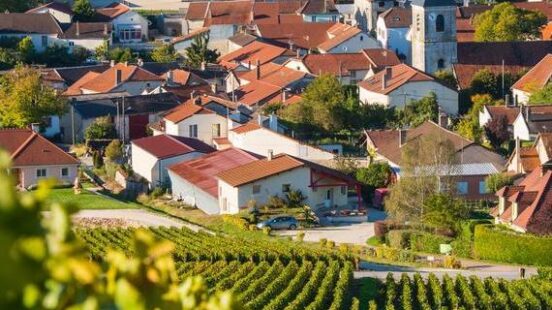 Champagne vineyards in the Cote des Bar area