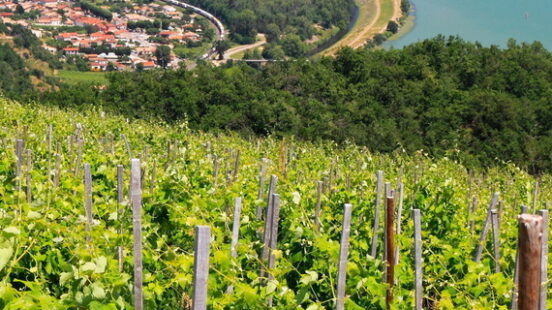The Rhône Valley France