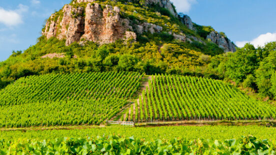 Solutre Rock with vineyards, Burgundy, France outdoors, outside, exteriors, Europe, Western Europe, France, Burgundy, Bourgogne, Saone-et-Loire, Saone et Loire, Cote Maconnais, Maconnais, Pouilly-Fuisse, Pouilly Fuisse, Roche de Solutre, Solutre Rock, Solutre, nature, natural, landscape, scenic, agriculture, agronomy, vine, vines, viniculture, viticulture, wine growing, country, countryside, rural, farming, cultivation, grow, growing, vineyard, vineyards, rock, travel, traveling, world travel, world locations, outdoors, outside, exteriors, europe, western europe, france, burgundy, bourgogne, saone-et-loire, saone et loire, cote maconnais, maconnais, pouilly-fuisse, pouilly fuisse, roche de solutre, solutre rock, solutre, nature, natural, landscape, scenic, agriculture, agronomy, vine, vines, viniculture, viticulture, wine growing, country, countryside, rural, farming, cultivation, grow, growing, vineyard, vineyards, rock, travel, traveling, world travel, world locations Burgundy, France
