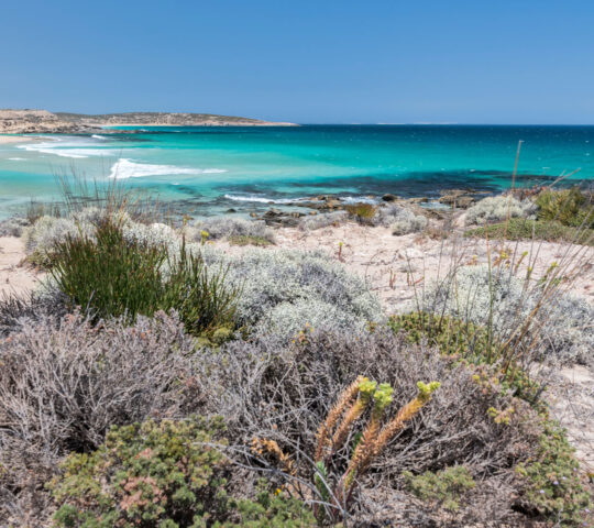 Breath the salty air on the Eyre Peninsula