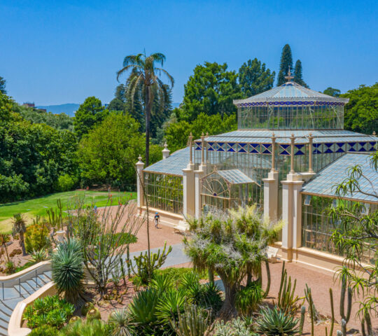 Explore Adelaide's gardens