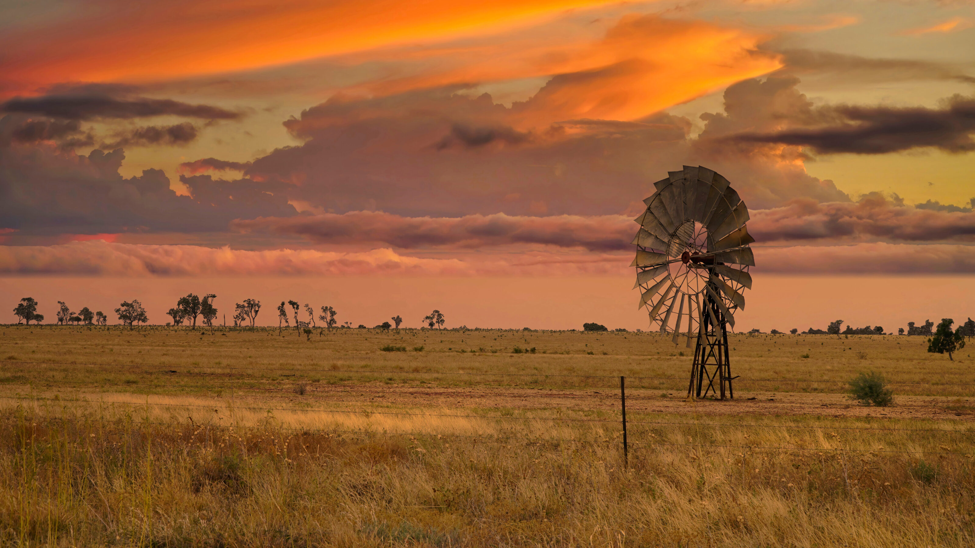 Australia Coastal and Outback Wildlife Experience