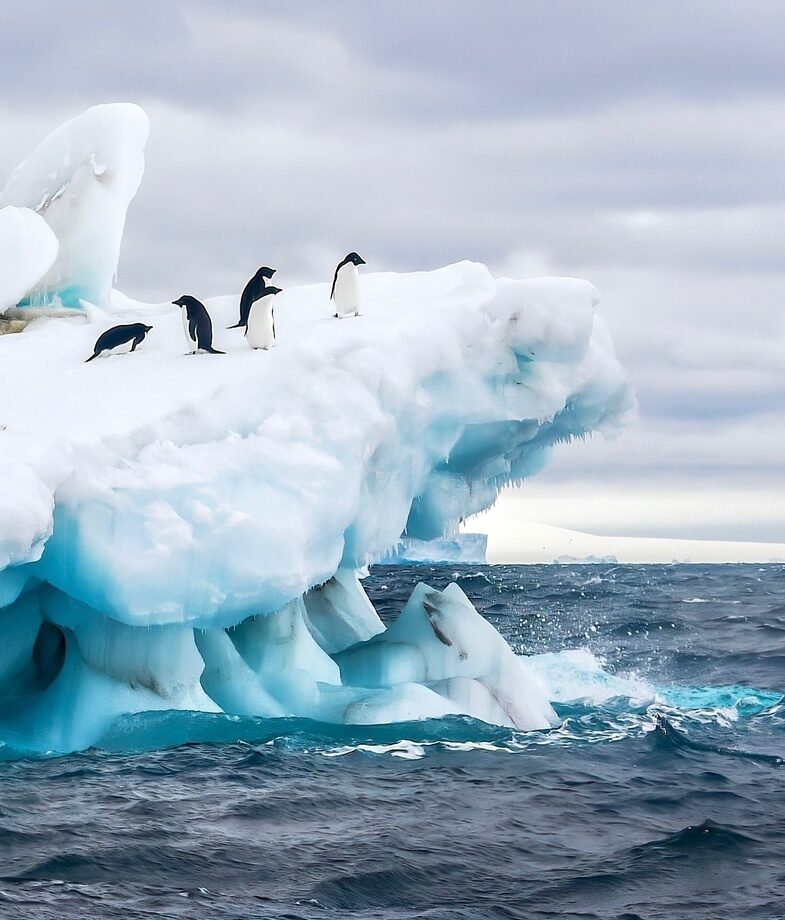 Penguins on a glacier in Antarctica, and Kirkjufell waterfall in Iceland