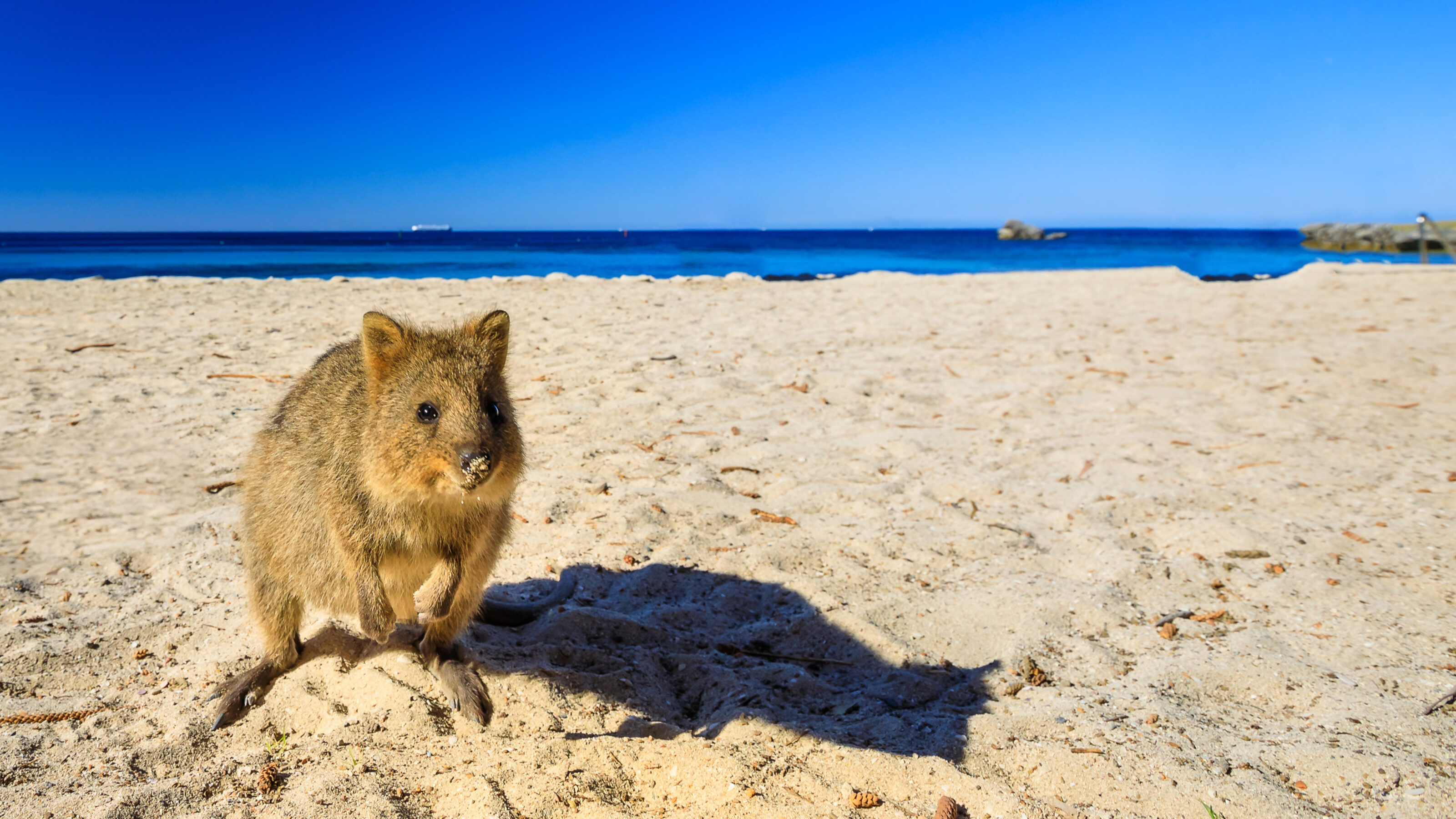 Western Australia Explorer