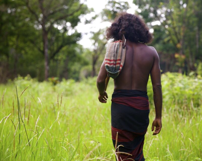 Rear view of a man walking through a tall grass field on positive impact trips.