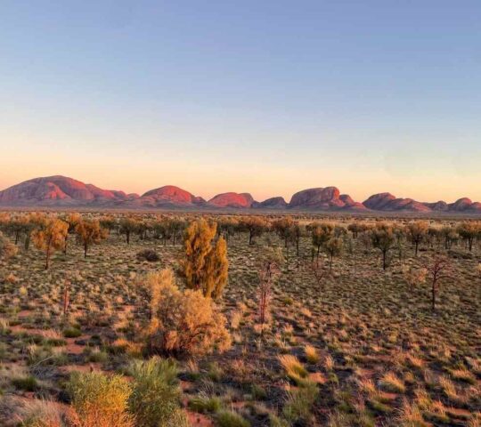 Marvel at the Kata Tjuta Domes