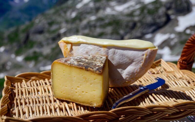 Cheese collection, Reblochon and Tomme de Savoie cheese from Savoy region in French Alps, mild cow’s milk cheese served outdoor, view on snowy tops of French Alpes mountains