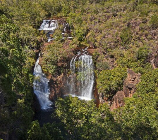 Visit Florence Falls and swim in the rock pools